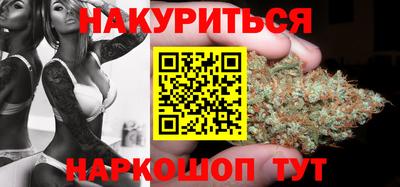 крисы Славгород