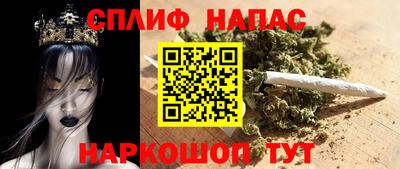 крисы Славгород