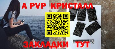 крисы Славгород