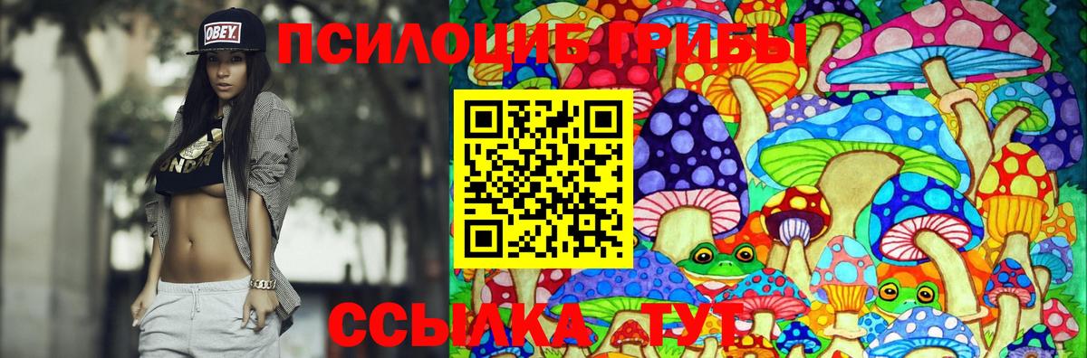 Белебей  Галлюциногенные грибы Psilocybe  Вход с VPN 