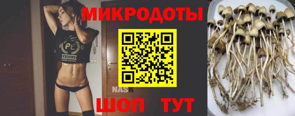 Псилоцибиновые грибы Psilocybine cubensis Белебей